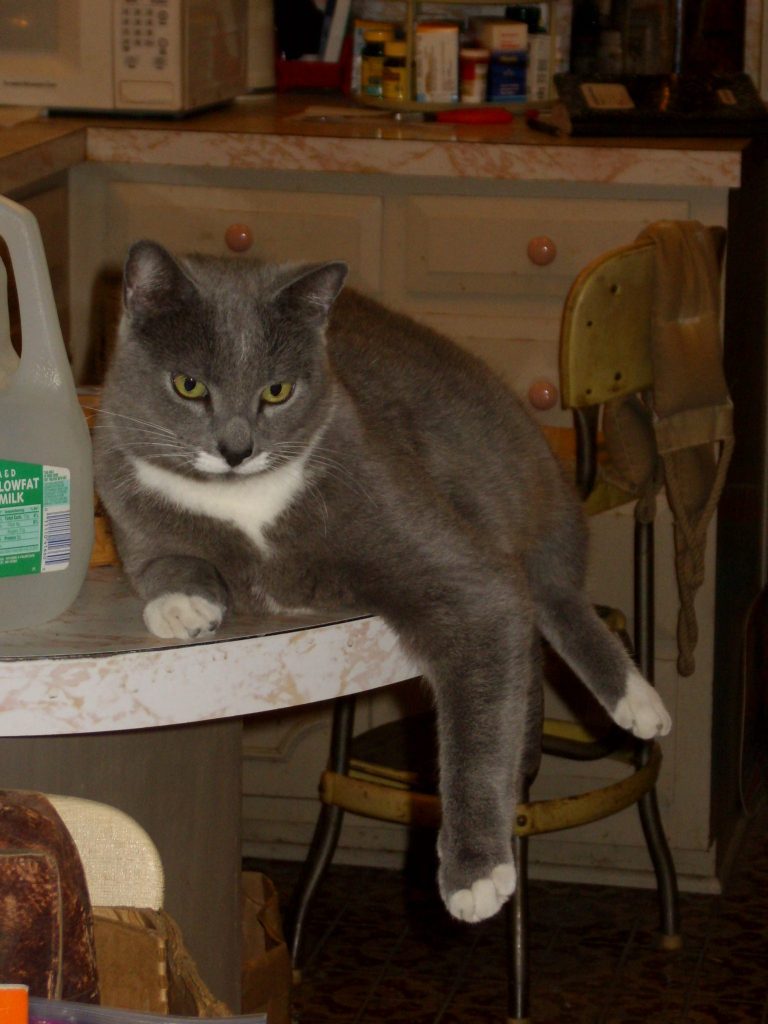 Martyresting/www.memurray.com/wordpress.com