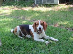 Twister/www.memurray.wordpress.com