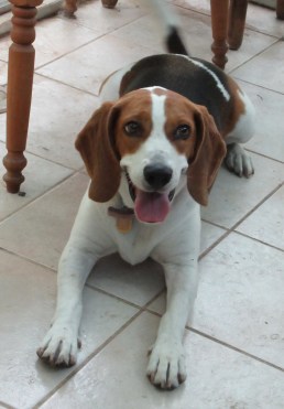 Twister/www.memurray.com/wordpress.com