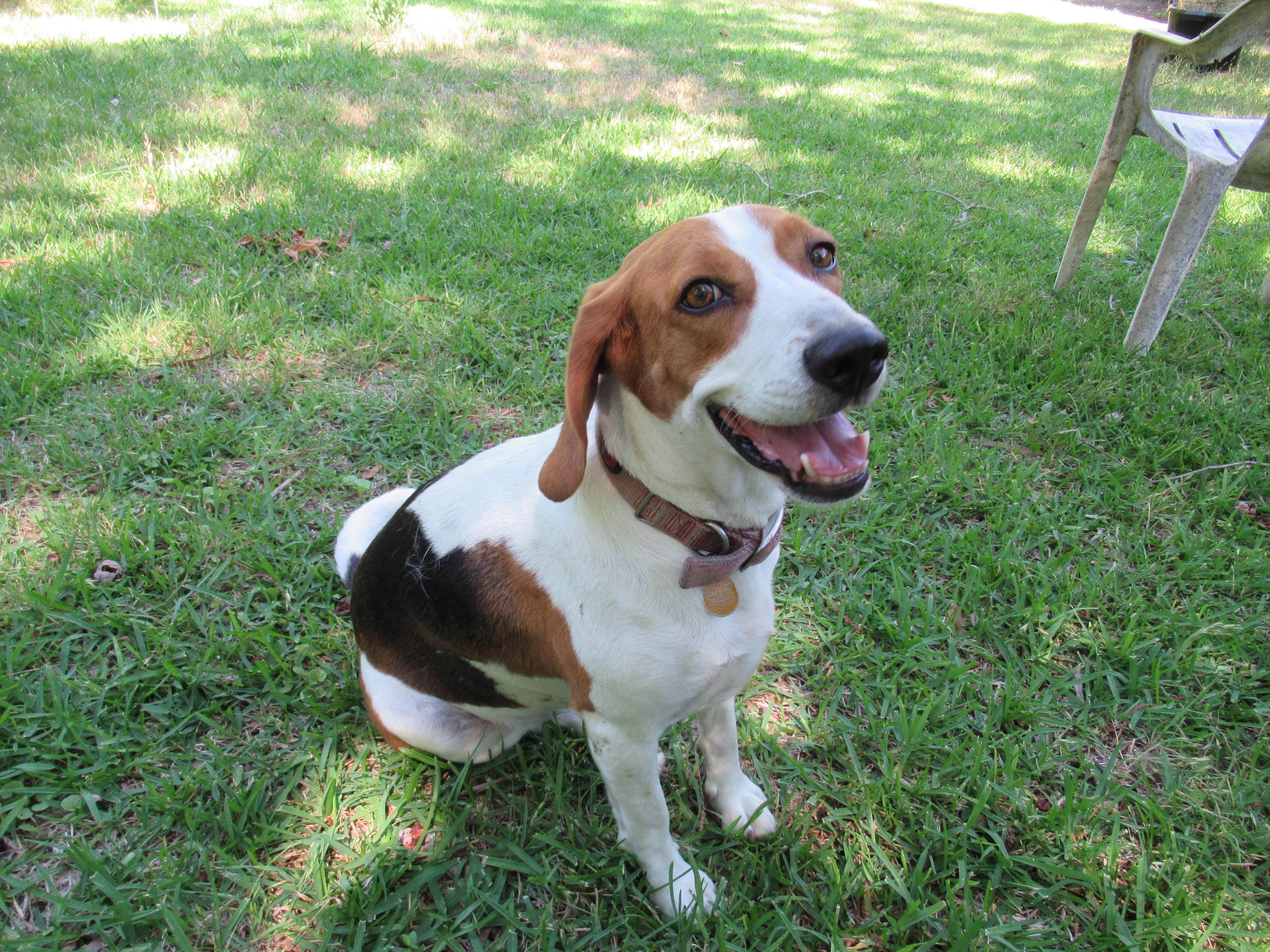 Twister/www.memurray.com.wordpress.com