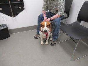 Twister at emergency clinic www.memurray.com.wordpress.com