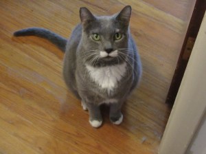 Marty/www.memurray.com/www.wordPress.com